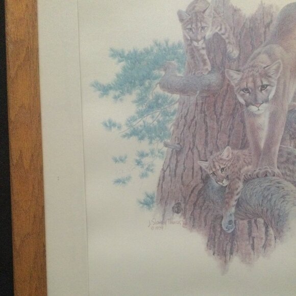 Vintage J Sharkey Thomas 1979 art print tiger and cubs in solid wooden frame - Picture 5 of 9